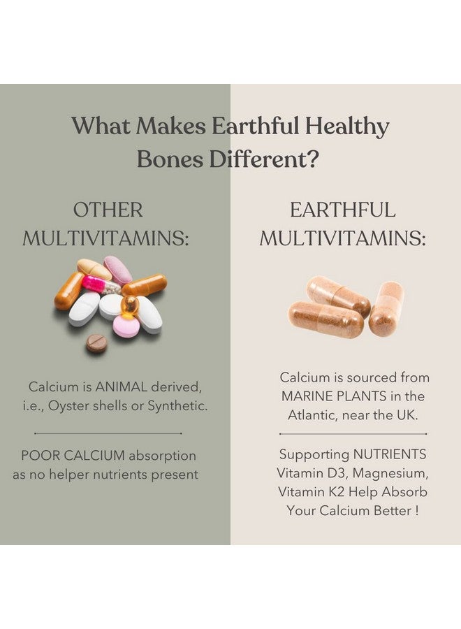 Earthful Calcium Magnesium Capsules | 100% Plant, Non-Synthetic | Bone Health Support with Vitamin D3 & K2 | 60 Capsules for Stronger Bones & Joint Relief | Clean Formula, No Additives, 260 grams - Image 4