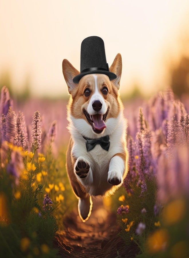 Hftjtsa Pet Formal Accessories Set 2 Pcs Dog Costume Top Hat with Formal Pet Tuxedo Bowtie/Necktie Birthday Party Halloween Gradation Christmas Dog Cat Costumes Accessories Black One Size - Image 5