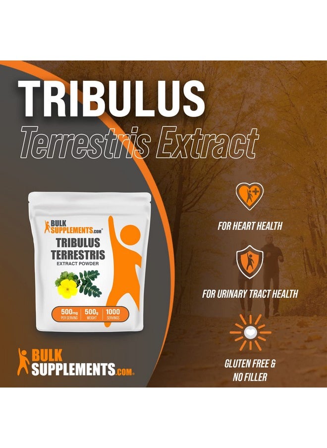 BulkSupplements Com Tribulus Terrestris Extract Powder Herbal Supplements Tribulus Terrestris Supplements 1500Mg Of Tribulus Terrestris Per Serving Gluten Free 500 Grams 11 Lbs  - Image 3
