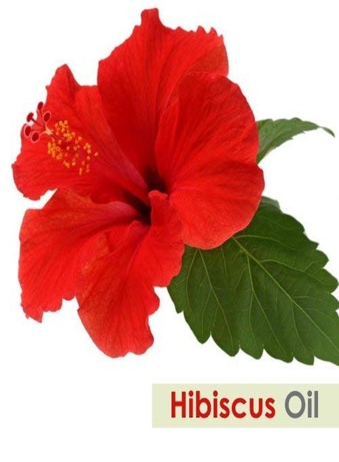 Salvia Hibiscus Oil (Hibiscus Sabdariffa L) Therapeutic Essential Oil by Salvia Amber Bottle 100% Natural Uncut Undiluted Pure Cold Pressed Oil (1.01 floz with dr) - Image 4