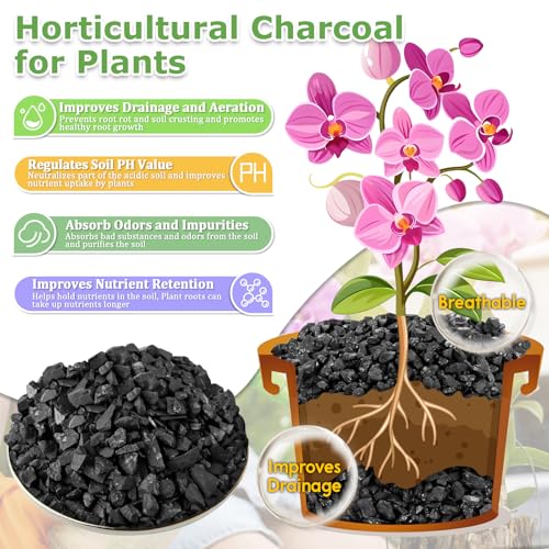 Legigo 2 QT Horticultural Charcoal- Natural Charcoal for Plants, Biochar Soil Amendment for Indoor Plants, Terrariums, Orchids Potting Mix and Gardening - Image 3