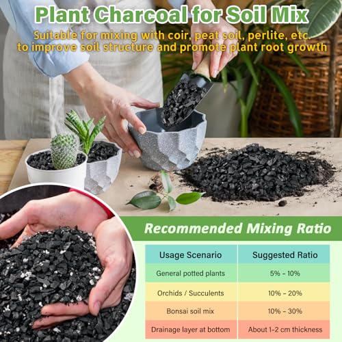 Legigo 2 QT Horticultural Charcoal- Natural Charcoal for Plants, Biochar Soil Amendment for Indoor Plants, Terrariums, Orchids Potting Mix and Gardening - Image 5