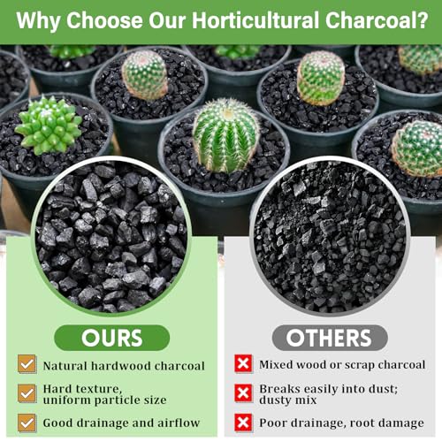 Legigo 2 QT Horticultural Charcoal- Natural Charcoal for Plants, Biochar Soil Amendment for Indoor Plants, Terrariums, Orchids Potting Mix and Gardening - Image 4