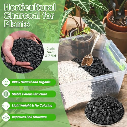 Legigo 2 QT Horticultural Charcoal- Natural Charcoal for Plants, Biochar Soil Amendment for Indoor Plants, Terrariums, Orchids Potting Mix and Gardening - Image 2