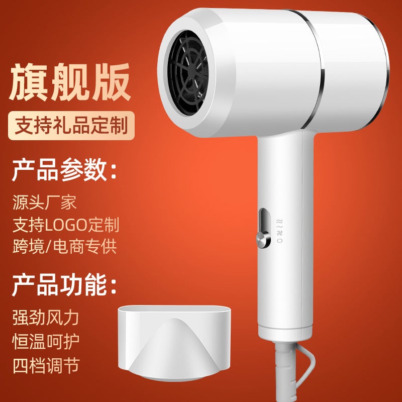 general High-Power Salon Hair Dryer with Negative Ion Technology for Home Use SR-001 sky white