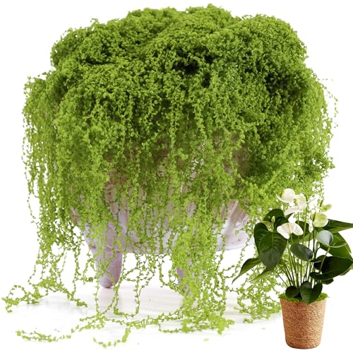USMOLA Fake Moss for Potted Plants Indoor, 7OZ Green Moss for Crafts - Realistic Faux Grass Decor for DIY, Terrariums, Fairy Gardens & Table Centerpieces Home Decor (Light Green) - Image 1
