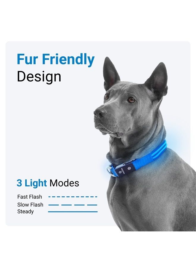 Tractive LED Light Up Dog Collar USB Rechargeable Waterproof (Blue) - Image 1