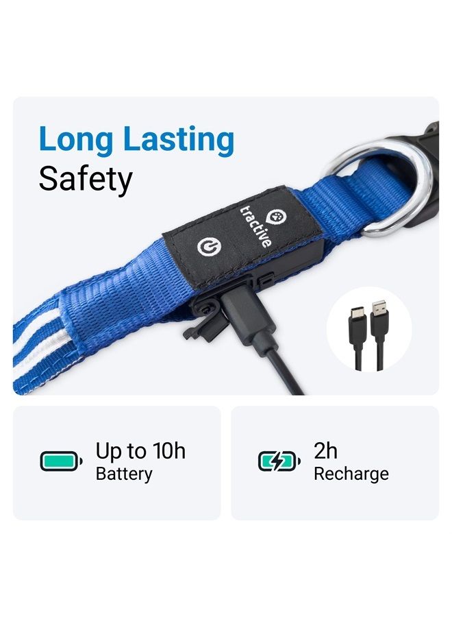 Tractive LED Light Up Dog Collar USB Rechargeable Waterproof (Blue) - Image 2