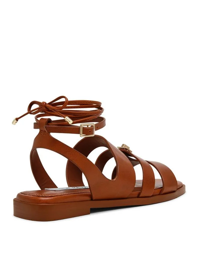Steve Madden  Bellevue Bronze Women's Flat Sandals for Women | Best Price UAE