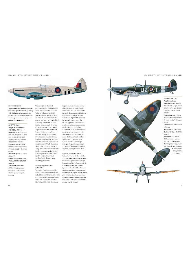 سبتفاير - Image 3