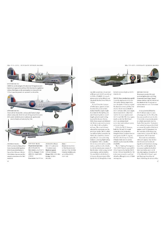 سبتفاير - Image 4