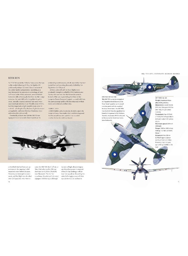 سبتفاير - Image 5