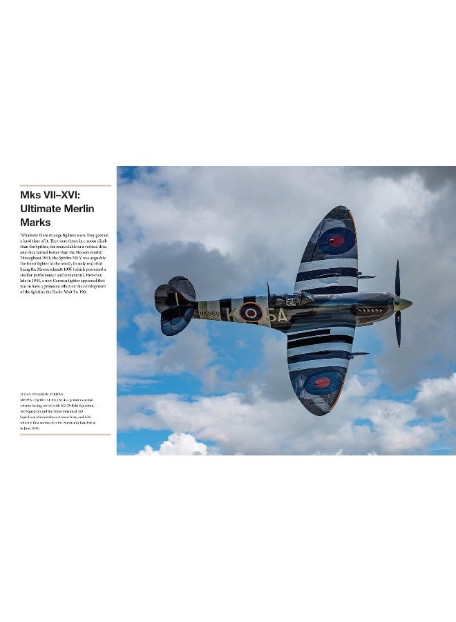 سبتفاير - Image 2