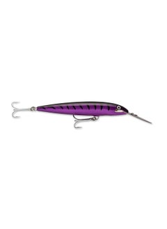 Purple mackerel