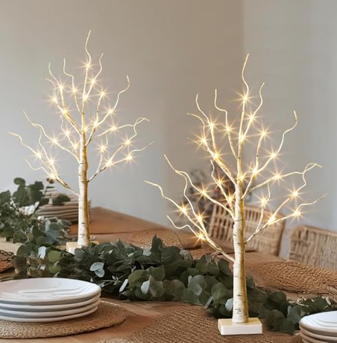 EAMBRITE Lighted Birch Tree Christmas Decorations Indoor for Home, 2Pack 24 LED Battery Operated/USB Tabletop Mini Small Artificial White Trees with Lights for Table Mantel Winter Xmas Decor (2FT) - Image 3