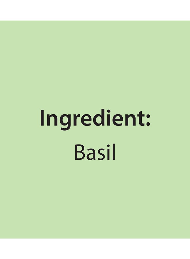 Mehran Basil 30Gm - Image 2