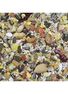 HigginS Sunburst Gourmet Blend Parrot Food 3 Lbs  Pack Of 2  - Image 2