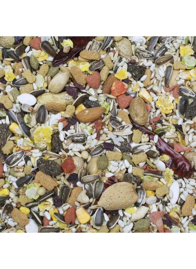 HigginS Sunburst Gourmet Blend Parrot Food 3 Lbs  Pack Of 2  - Image 2