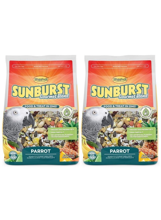 HigginS Sunburst Gourmet Blend Parrot Food 3 Lbs  Pack Of 2  - Image 1