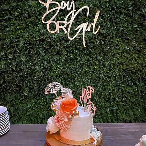 QPARTYFIRE Boy or Girl Sign for Backdrop,Wooden Baby Shower Sign for for Baby Shower Boy/Girl Decorations Gender Reveal Backdrop Party Photography Background(13 * 17inch) - Image 2