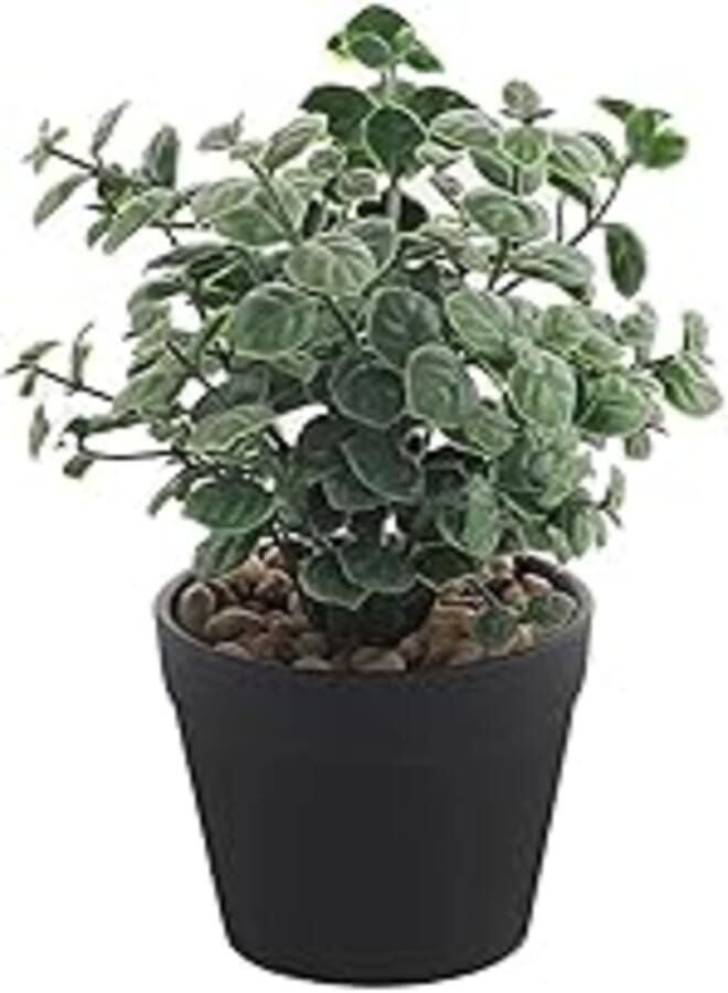 Plastic Rose Vasse with Artificial Rose Small - Black M-42