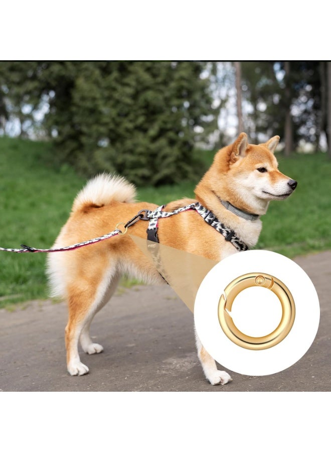 سونسر 16 قطعة من حلقات الربيع الدائرية 1/2 بوصة حلقات مفاتيح مستديرة سريعة التحرير حلقات مفاتيح للصناعات اليدوية حلقات مفاتيح صغيرة للمحفظة وحزام الحقيبة ومفاتيح المجوهرات (ذهبية) - Image 5