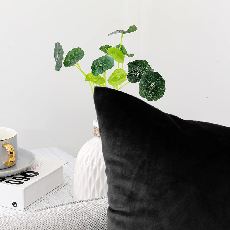 NiNi ALL Decorative Throw Pillow Covers Pack of 2 Velvet Throw Pillow Cases for Couch Sofa Bed Car Office Pillows Cover Bedroom Living Room Outdoor Black Pillow Covers 30x30 Inch - Image 3