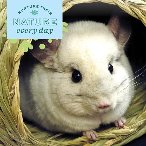 Oxbow Timothy Hay Bungalow, Rabbit & Guinea Pig Hideout, Edible & Hand-Woven Bunny House, No Wires or String, Small Pet Accessories, for Rabbits, Guinea Pigs, Chinchillas & Rats, Medium - Image 3
