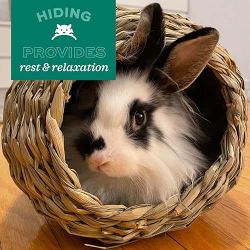 Oxbow Timothy Hay Bungalow, Rabbit & Guinea Pig Hideout, Edible & Hand-Woven Bunny House, No Wires or String, Small Pet Accessories, for Rabbits, Guinea Pigs, Chinchillas & Rats, Medium - Image 2
