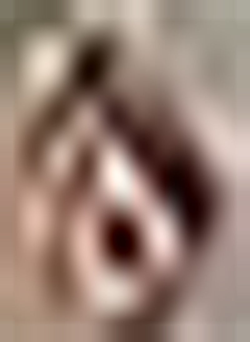 جي جوت 100 قطعة من نباتات اللبخ اللبخ كاريكا بوم جارتيناربيت فلانزين هوهر فروشترتراج ستاركي Anpassungsfähigkeit an die Umwelt schaffen eine hervorragende Gartenlandschaft - Image 1