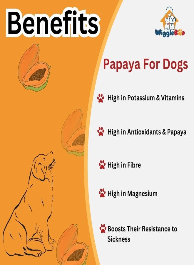 WiggleBoo Chicken & Papaya Dog Treat | Protein Rich | Fiber Rich | Crunchy Healthy Snacks (45 Grm) - Image 4