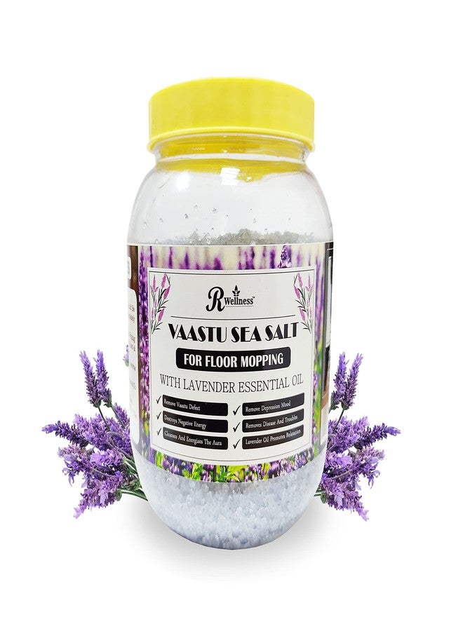 R Wellness Natural Surface/Floor Cleaner Vaastu Sea Salt For Home Or Office Removes Negative Energy 900Gm - Image 1