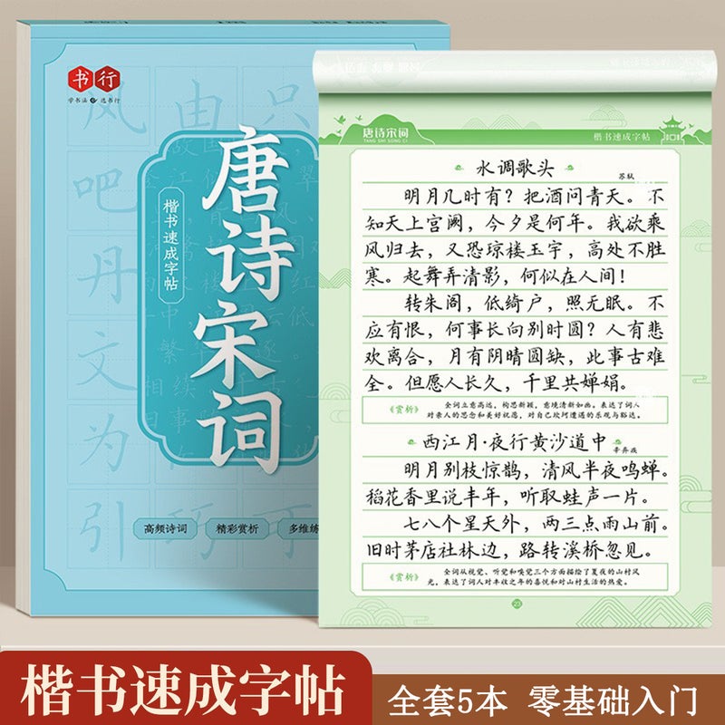 Commonly Used 8000-Word Regular Script Copybook For Adults To Practice Calligraphy And Pen Control Training For Primary School Students Hard Pen Pen Calligraphy Practice Copybook - Image 2