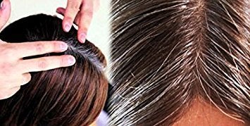 Grisi Organogal Shampoo Darkening Shampoo with Cactus Extract Darkening Hair Product for Gray Hair 135 Fl Ounces - Image 5