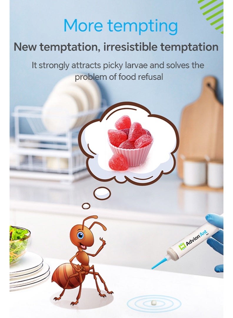 ADVISION جيل طعام النمل أدفايون، 30 جرام، 1 مكبس و 1 طرف، طعام نمل فعال، طعام جيل النمل من سينجينتا - Image 3