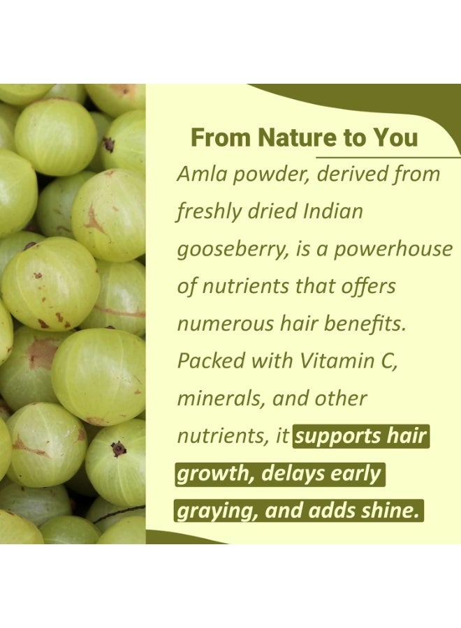 مي نيتشورال مسحوق الأملج (Amla) من Mi Nature - 100 غرام (3.5 أونصة) | مسحوق عنب الثعلب الهندي الطبيعي الغني بفيتامين C | غذاء فائق تقليدي للعناية بالشعر والبشرة - Image 1