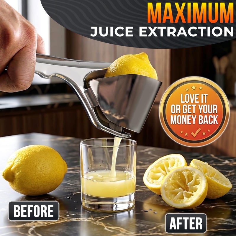 LEGLO Lemon Squeezer Stainless Steel â€“ Heavy Duty Flat Fold Design, Gets Every Last Drop, Rust Resistant Manual Citrus Juicer for Lemon Lime Orange, Easy to Clean, Dishwasher Safe, for Fresh Citrus Drinks - Image 5