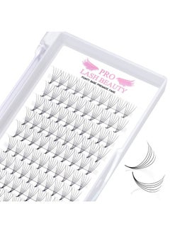 Premade Fans Eyelash Extensions 5D-D-0.07-15 Premade Volume Lash Extensions Pointed Base Fans 0.07 Premade Volume Fans C D Curl(5D-D-0.07,15 Mm) - pzsku/Z5BF910E4EFFB4FC4AEB6Z/45/_/1730892866/7550e8ef-6edf-4290-9541-f40d442af4d1