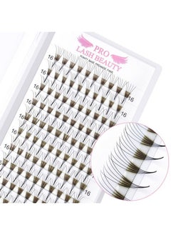 Premade Fans Eyelash Extensions 5D-D-0.07-15 Premade Volume Lash Extensions Pointed Base Fans 0.07 Premade Volume Fans C D Curl(5D-D-0.07,15 Mm) - pzsku/Z5BF910E4EFFB4FC4AEB6Z/45/_/1730892878/8844450b-c58c-4169-95b6-13fe506062c8