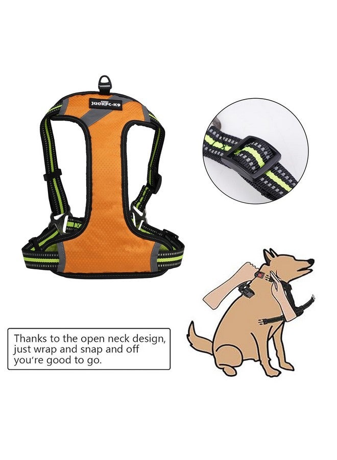 Emily Pets Dog Harness No Pull Harness Reflective Dog Belt For Small Medium Large Dogs Easy Control Dog Chest Belt - No More Pulling Or Choking (Yellow, S) - Image 2