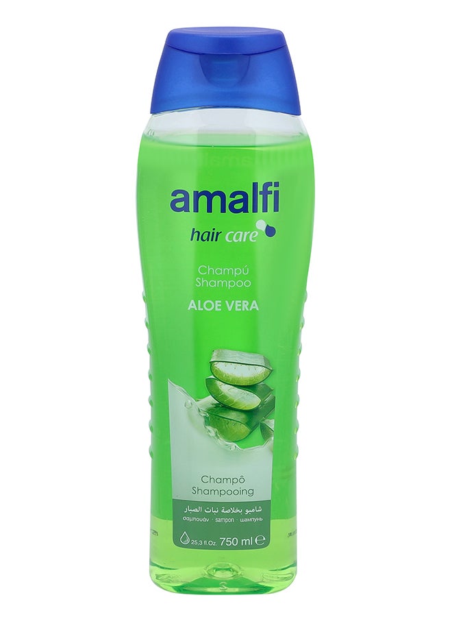AMALFI Amalfi Shampoo with Aloe Vera – Hydrating Hair Care 750ml 