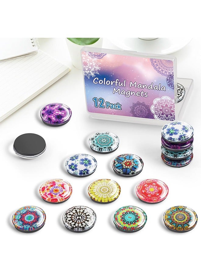 مجموعة مغناطيسات الثلاجة، ملصقات مغناطيس ثلاجة لطيفة، مغناطيسات ثلاجة قوية - Image 3