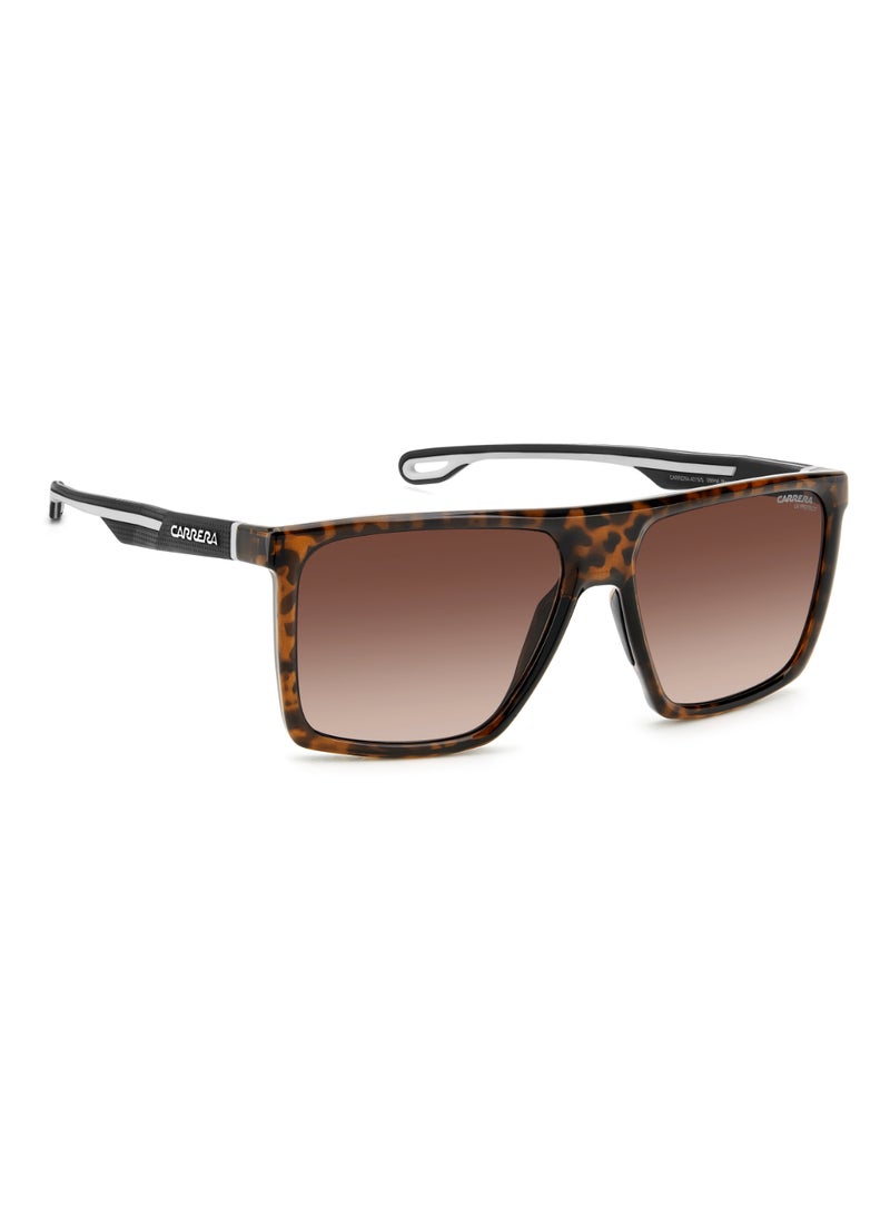 Carrera Men's UV Protection Rectangular Shape  Sunglasses CARRERA 4019/S BROWN 47 - Lens Size: 46.9 Mm - Hvn  - Image 2