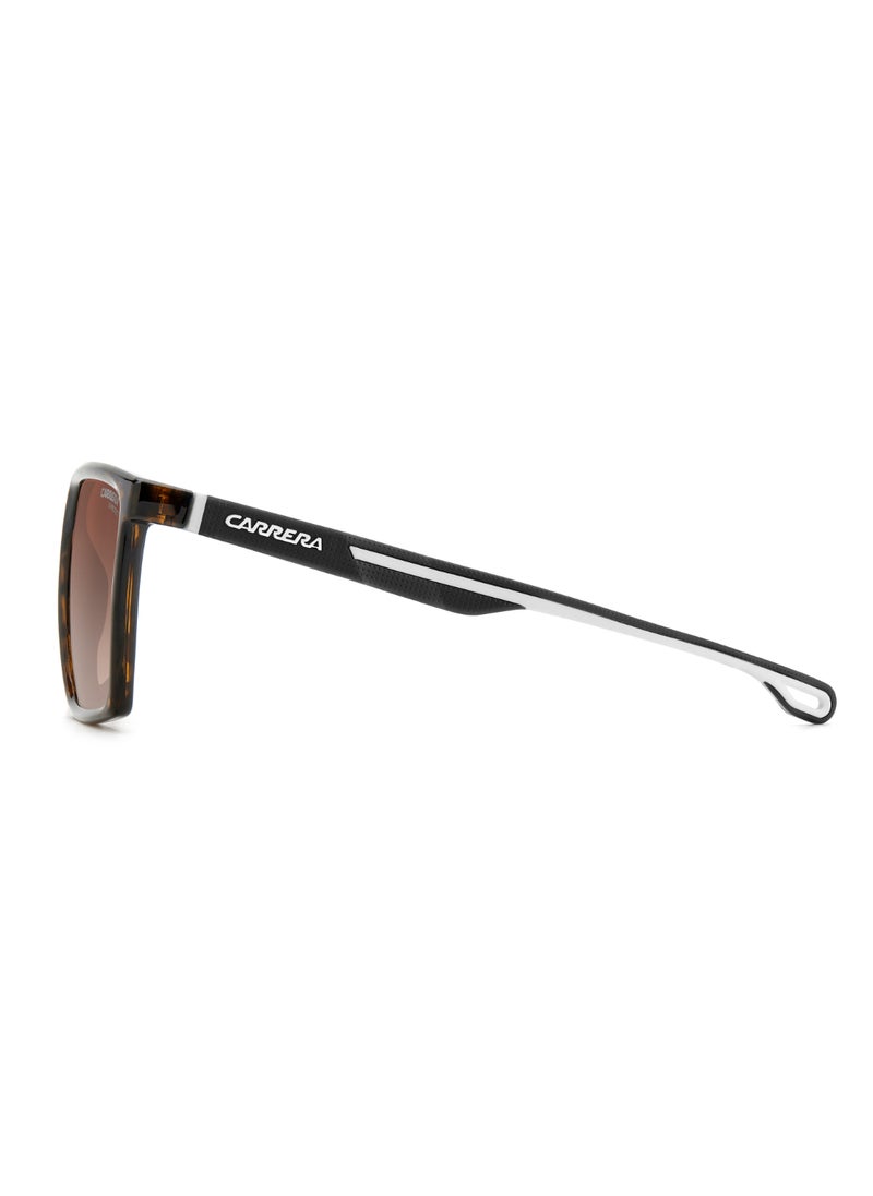 Carrera Men's UV Protection Rectangular Shape  Sunglasses CARRERA 4019/S BROWN 47 - Lens Size: 46.9 Mm - Hvn  - Image 5