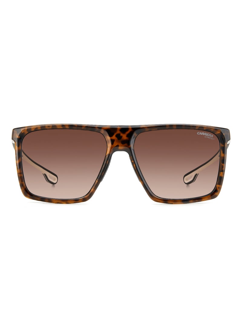 Carrera Men's UV Protection Rectangular Shape  Sunglasses CARRERA 4019/S BROWN 47 - Lens Size: 46.9 Mm - Hvn  - Image 3