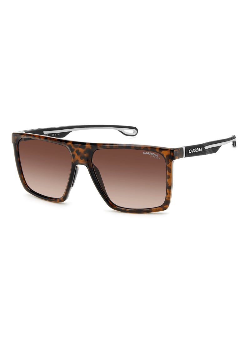 Carrera Men's UV Protection Rectangular Shape  Sunglasses CARRERA 4019/S BROWN 47 - Lens Size: 46.9 Mm - Hvn  - Image 1