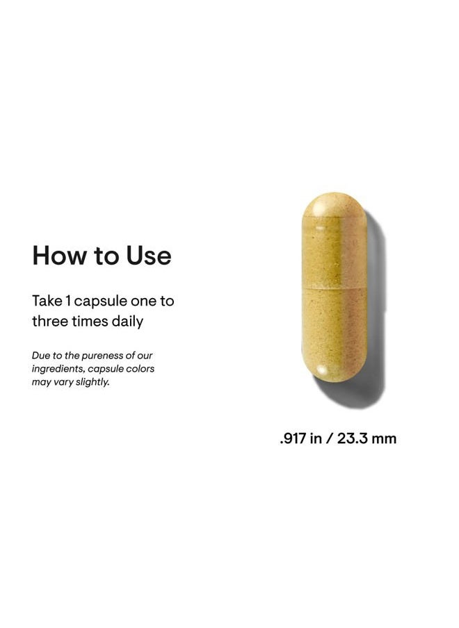 Stress B-Complex - Vitamins B2, B6, B12, and Folate in Highly-Absorbable and Active Forms - Extra Vitamin B5 for Adrenal Support, Stress Management and Immune Function* - 60 Capsules