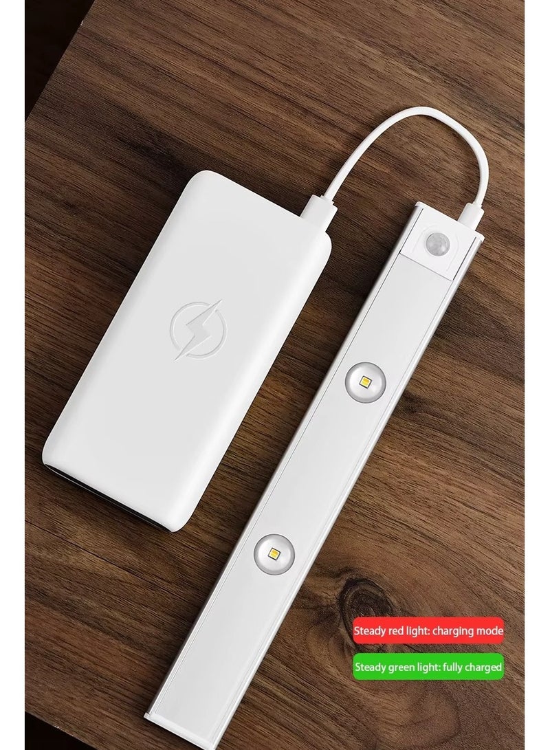 ليفقورا ضوء مستشعر الحركة، ضوء LED قابل لإعادة الشحن عبر USB - ضوء خزانة من الألومنيوم اللاسلكي للمطبخ وغرفة النوم وخزانة الملابس - أبيض ودافئ وضوء طبيعي (40 سم) - Image 4