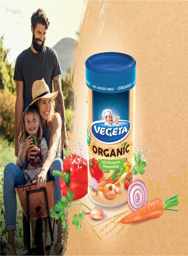 Vegeta organic all purpose seasoning | no added msg | no additives | 280g - Image 2