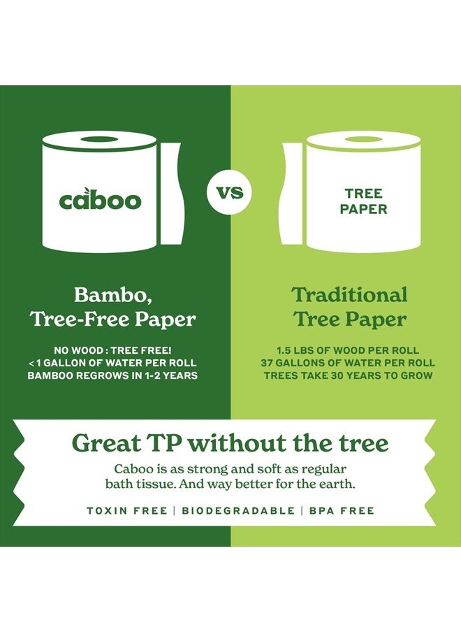 CABOO - Tree Free Toilet Paper, Tree Free, Septic, Chemical Free Bath Tissue - 2 Ply Sheets, 300 Sheets Per Roll, 12 Double Rolls - Image 1